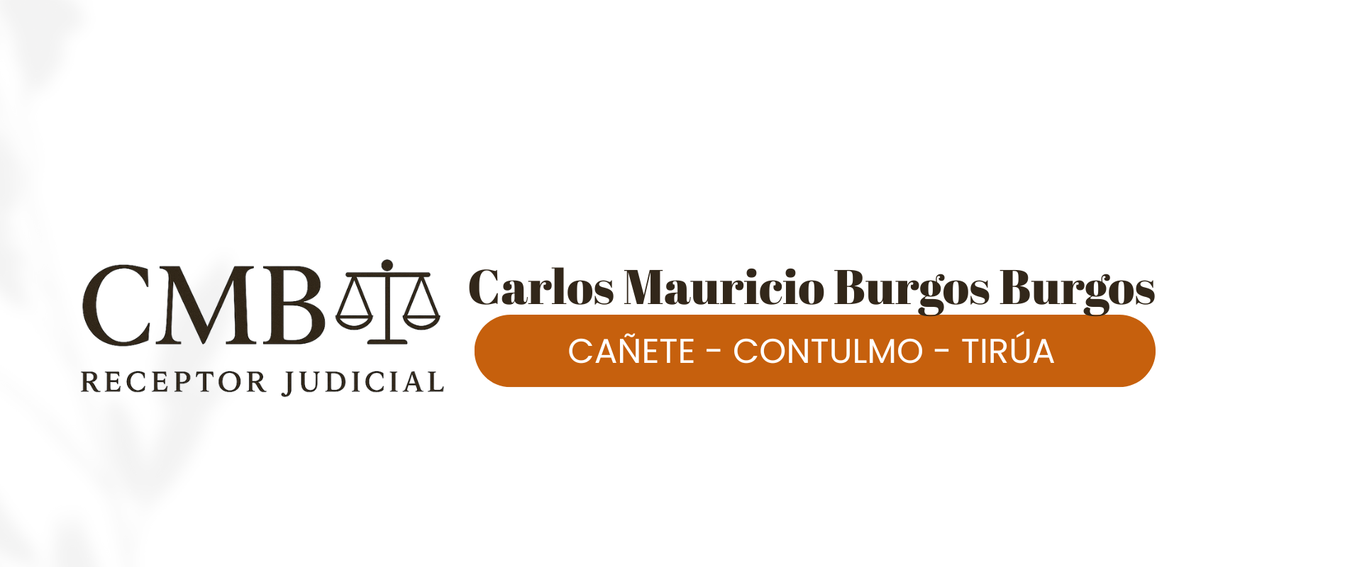 mauricioburgos.cl
